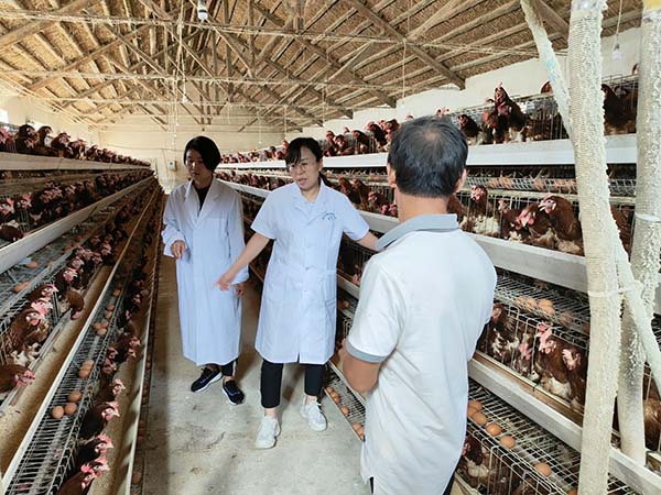 庄闲和游戏(中国区)股份有限公司-官网